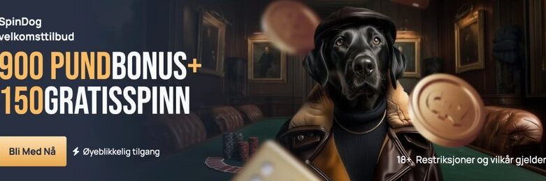 Experience the Thrill of Online Gaming with Spindog UK Casino App