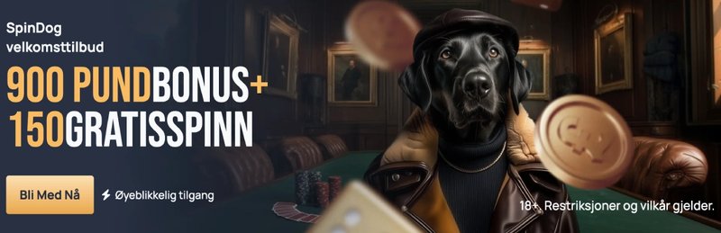 Experience the Thrill of Online Gaming with Spindog UK Casino App, spindog login